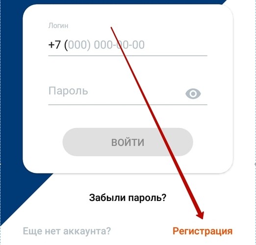 Панель входа